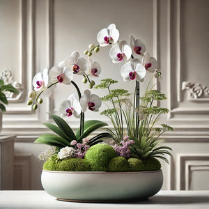 Serene Orchid Haven
