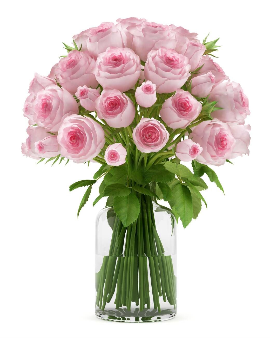 24 Light Pink Roses in a Vase