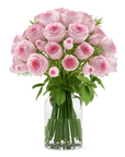 24 Light Pink Roses in a Vase