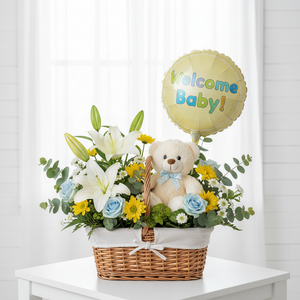 Welcome Baby Celebration Basket