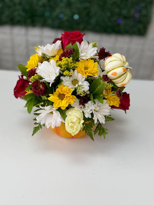 🍂 Pumpkin Harvest Delight 🍂